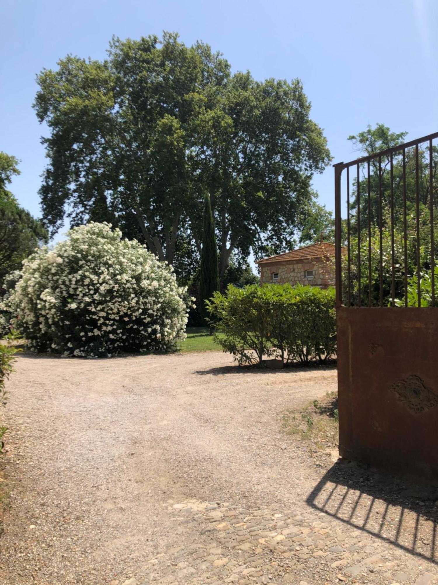 Gite Superbe L'Ecurie Xixeme Sallèles-dʼAude Eksteriør bilde